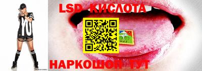 jwh Малоярославец