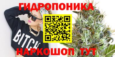 тгк Можга