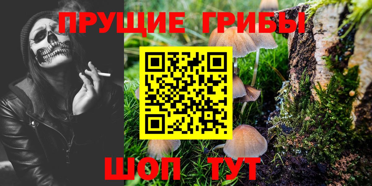Псилоцибиновые грибы ЛСД Домодедово
