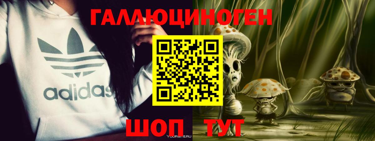 Псилоцибиновые грибы Psilocybe  Вход с VPN  Псилоцибиновые грибы MAGIC MUSHROOMS  Домодедово 